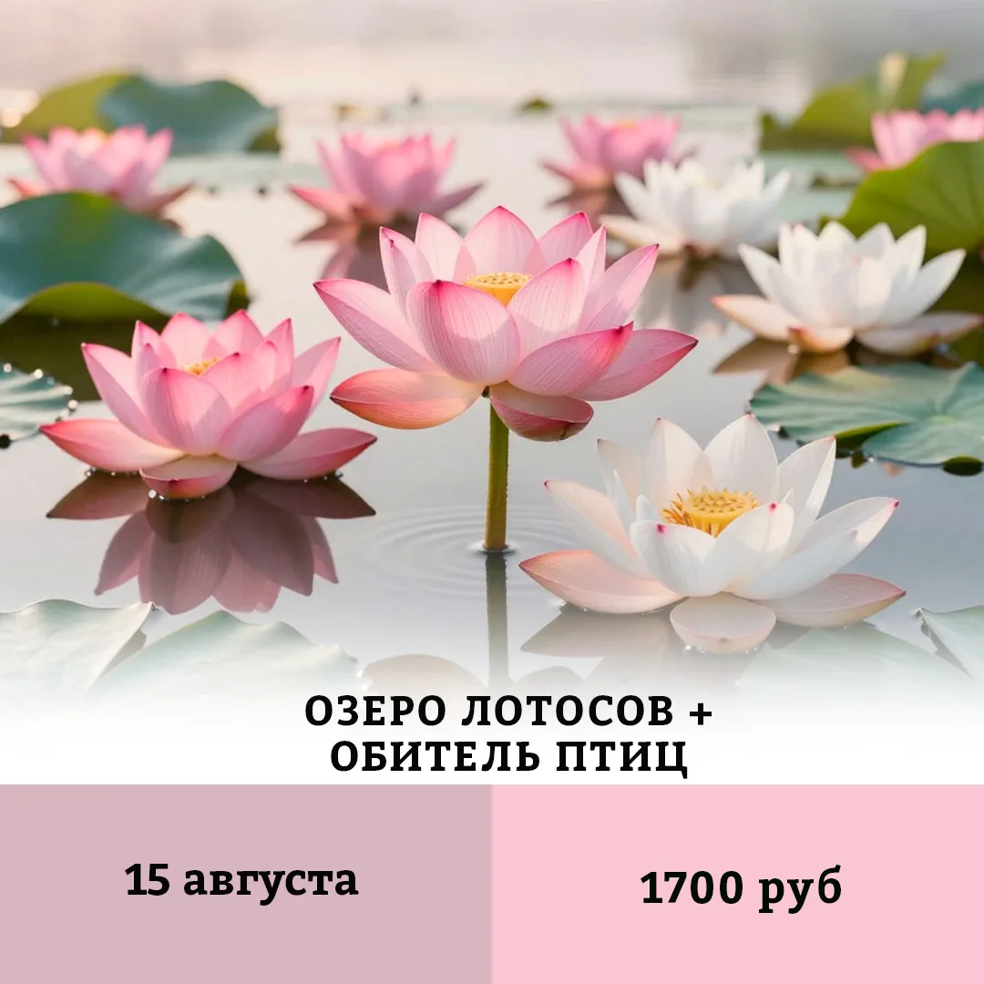 💫Тур- перезагрузка на озеро лотосов + Обитель Птиц

📅Дата: 15 августа

Хотите увидеть настоящее чу