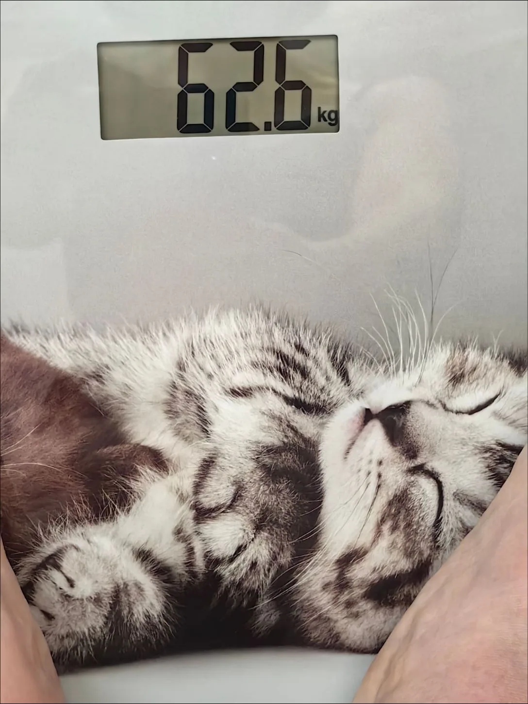 Ну, начнём!