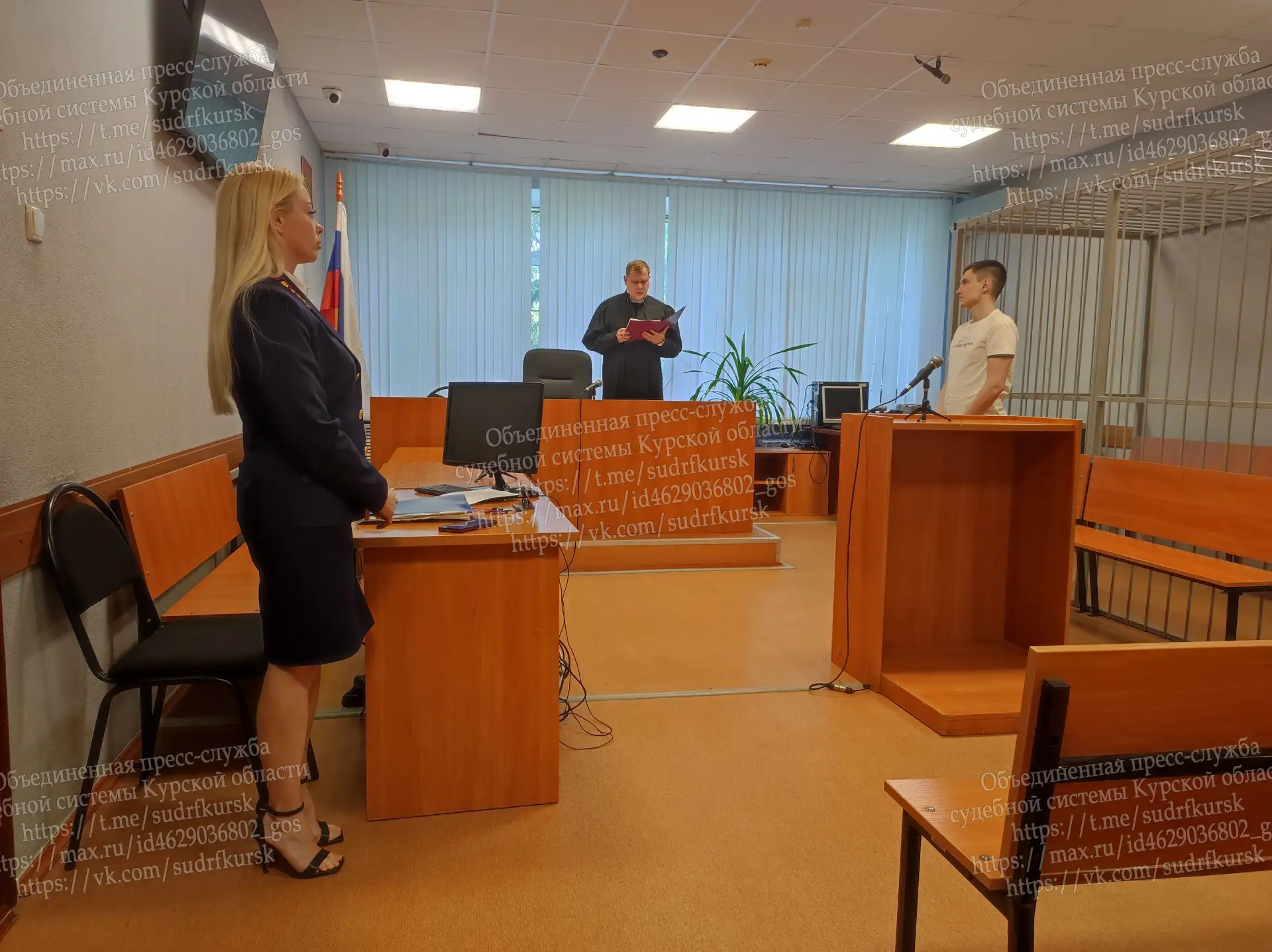 К 7 годам лишения свободы приговорен 26-летний житель Железногорска за 57 эпизодов поку...