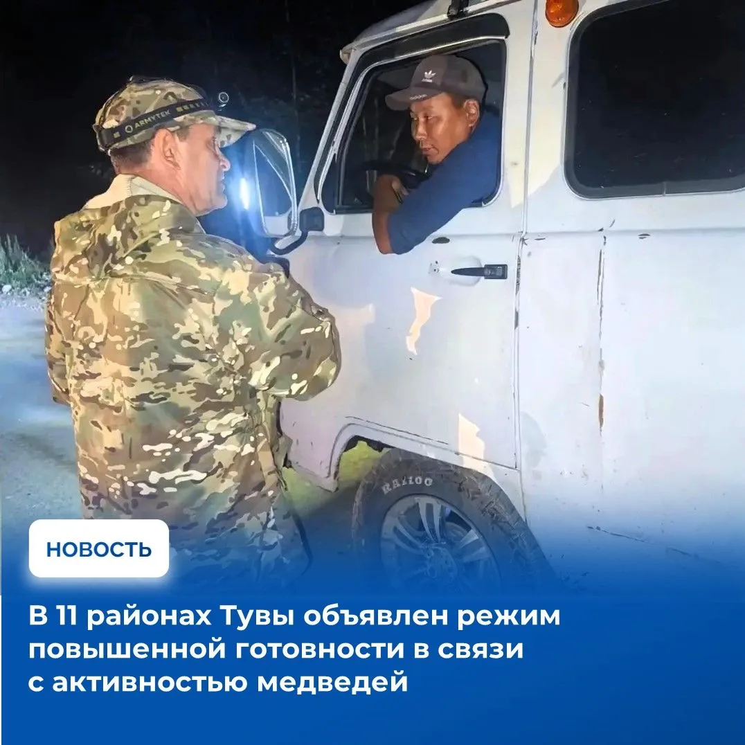⚡Участившиеся случаи выхода бурых медведей к населенным пунктам Тувы стали поводом для ...