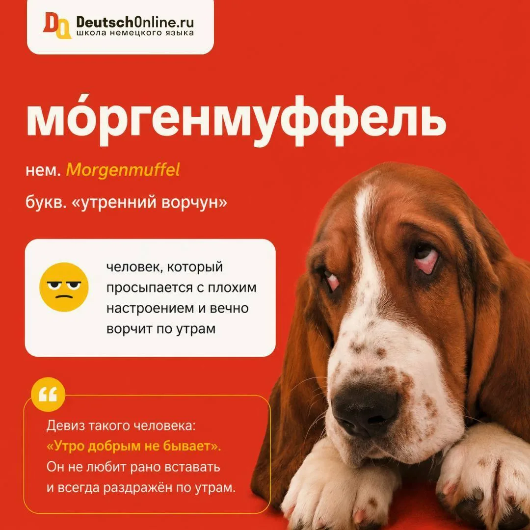 🙄  Утренний ворчун 

Сегодня в нашей рубрике #необычныеслова слово про людей, с которыми утром лучш