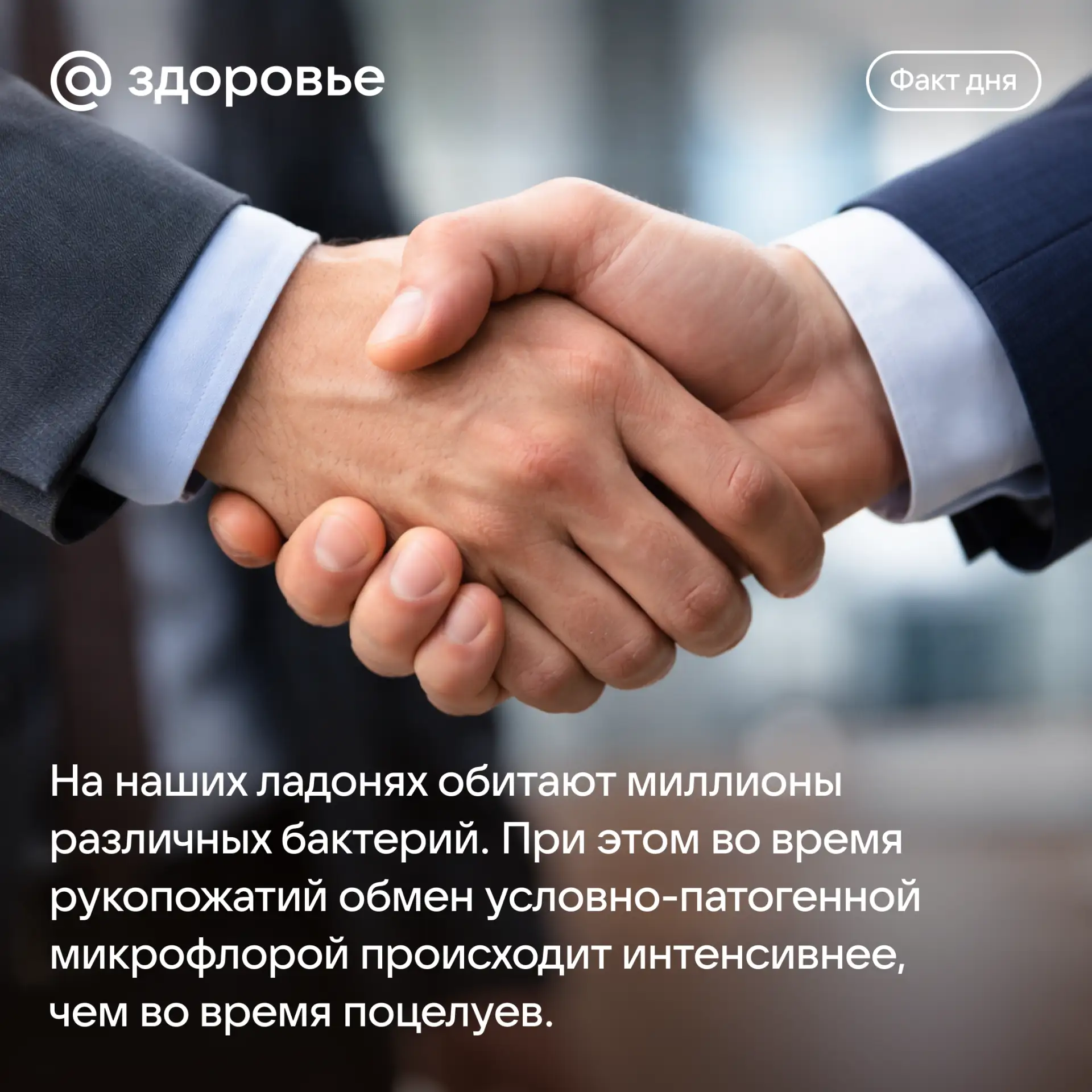 Хорошего дня! 🤩