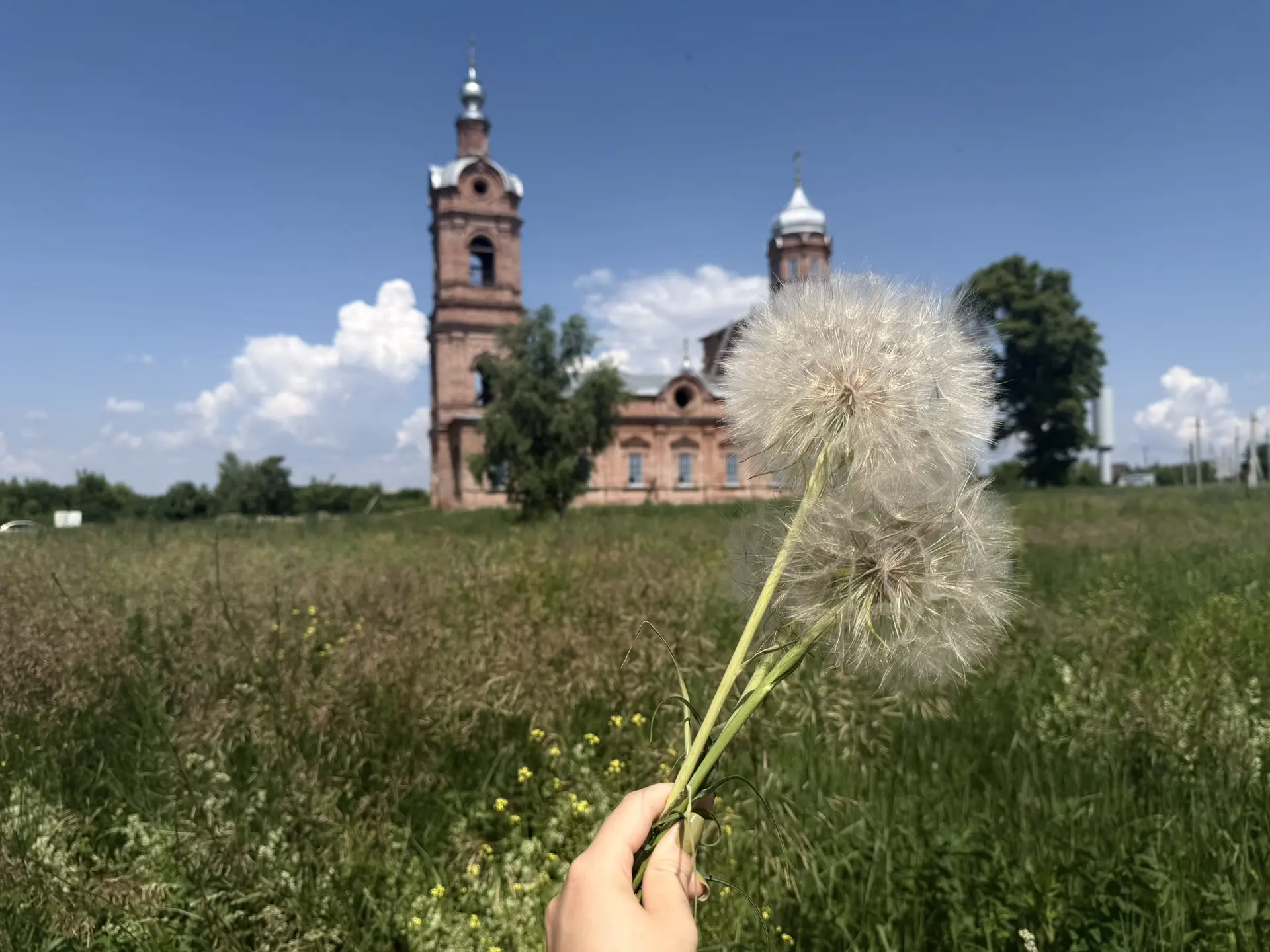 До каменного храма в Тихом Плесе существовала деревянная церковь, построенная в 1780 году иждивением