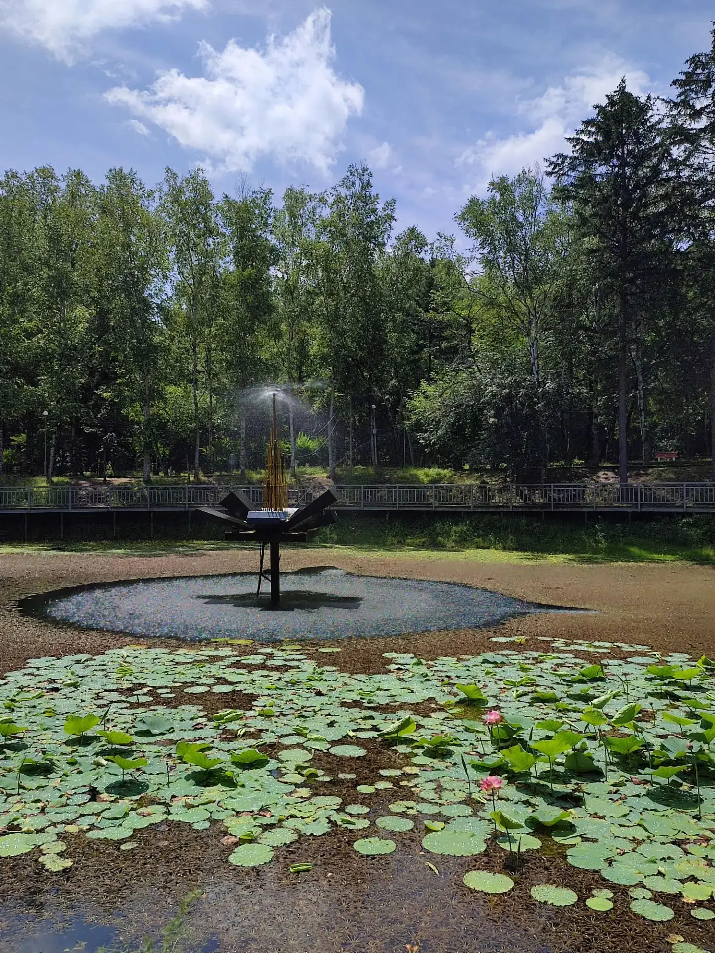 🌳Поднимем настроение в это дождливое утро душевными новостями из городского парка