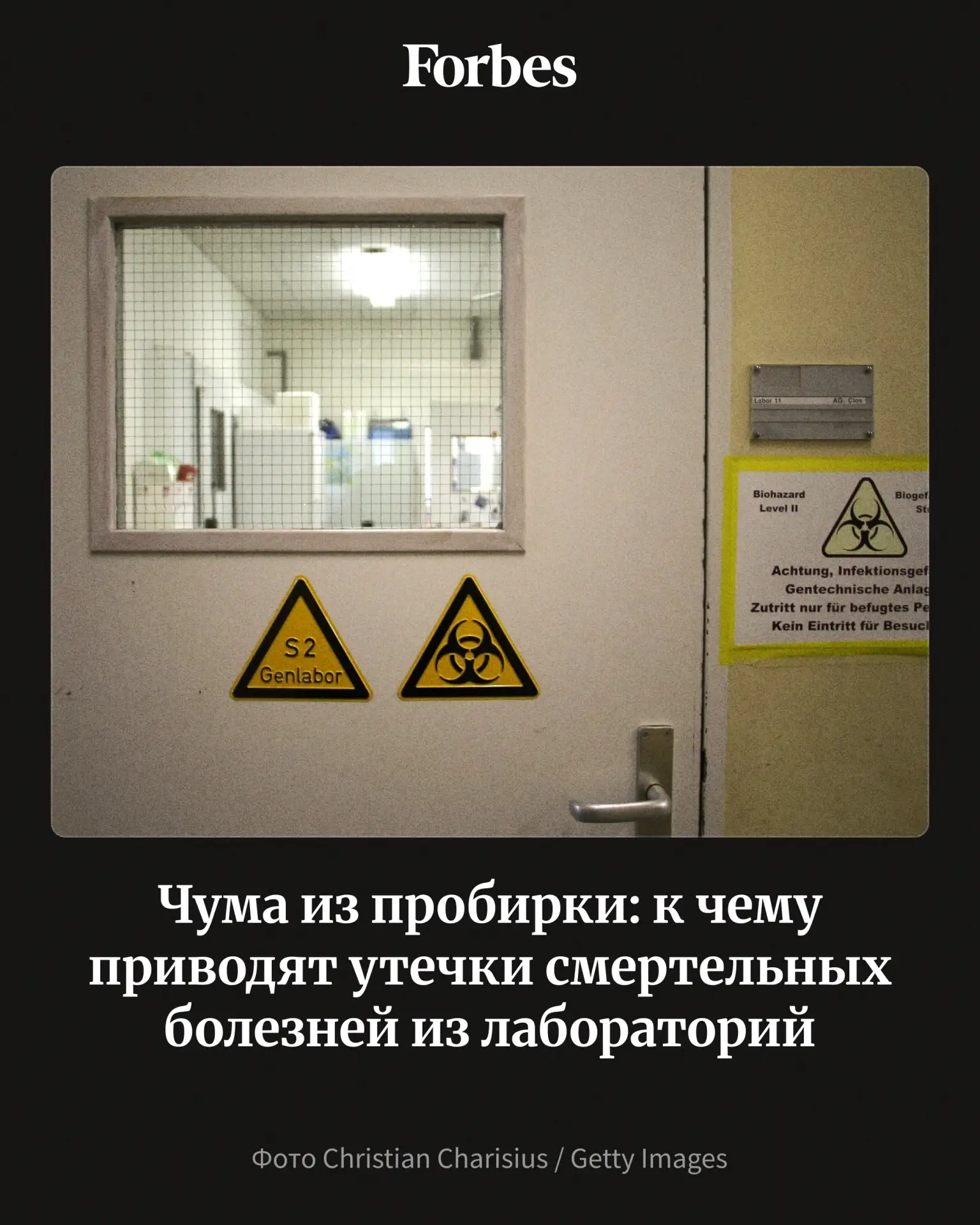 В России живой возбудитель чумы хранят в пяти институтах. В ночь на 2 октября в Иркутск...