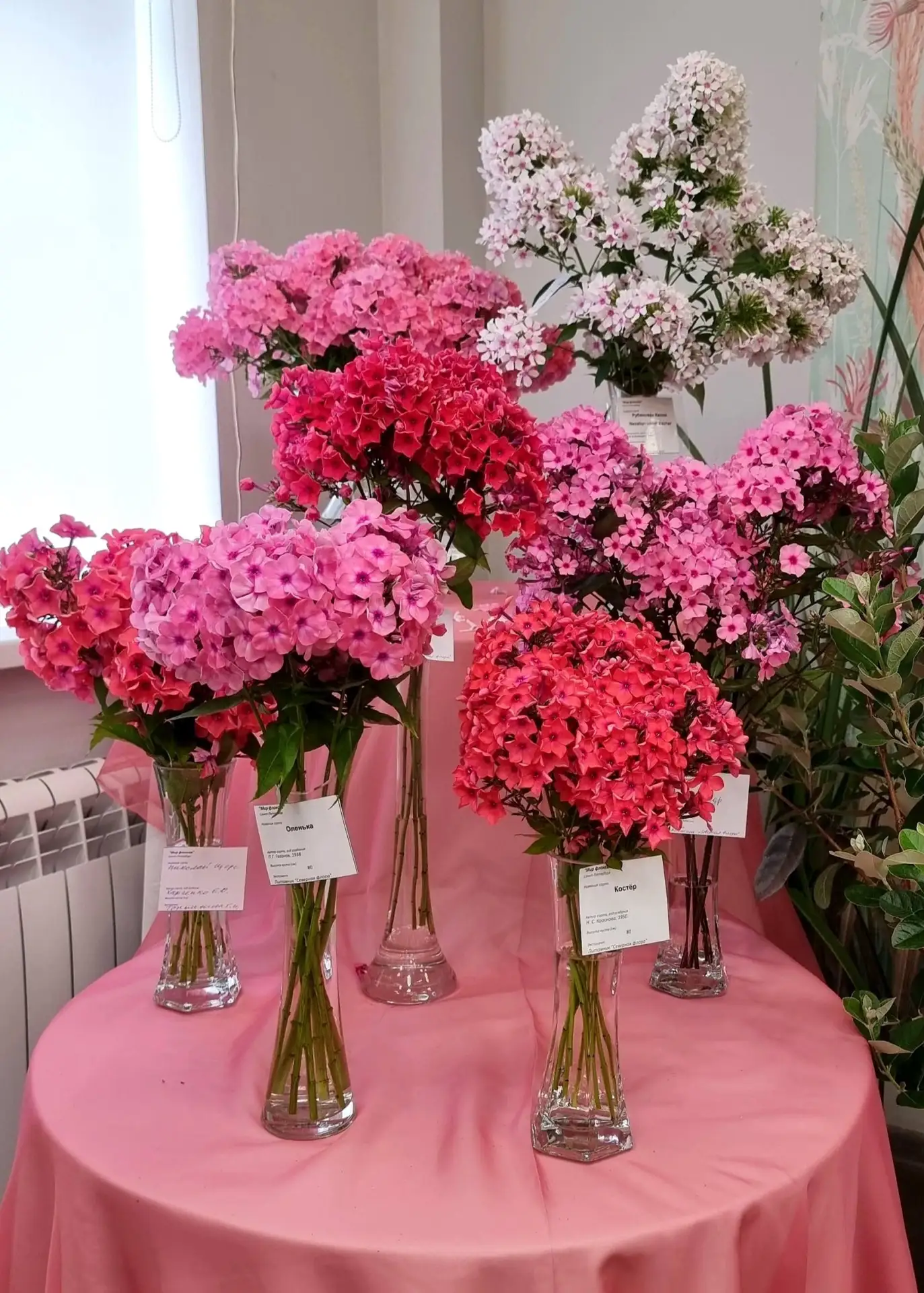 Фестиваль американских растений «Иммигранты Нового Света» 🌼

🗓 1-2 августа
 📍 Ботанический сад Пе