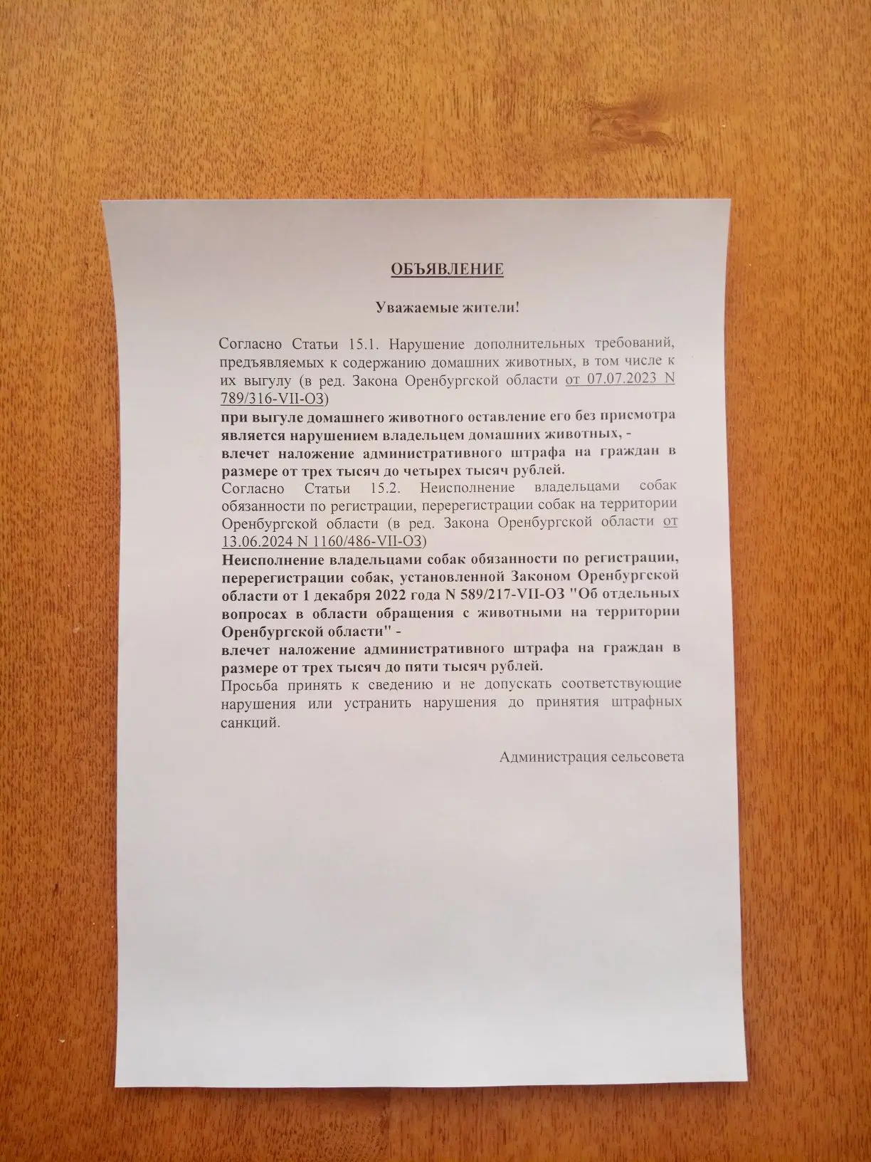 Фото