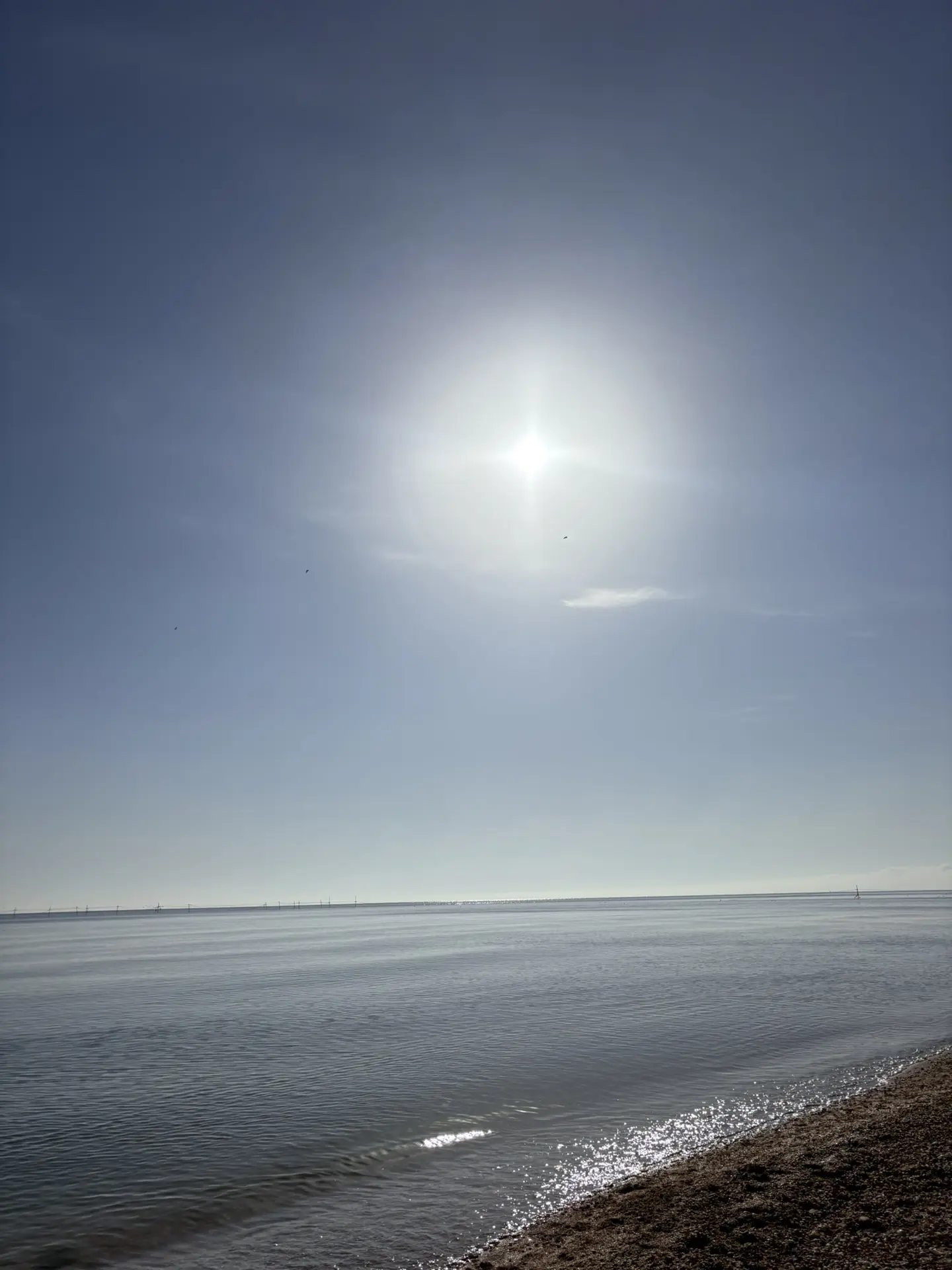 Доброе утро Азовское море 🌊   Открываем сезон встречи рассвета. Солнышко встает 4.55   #Кучугуры