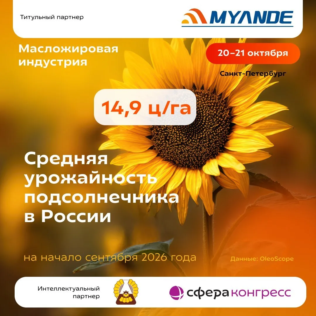 🌻 Уборка подсолнечника началась с высоких показателей