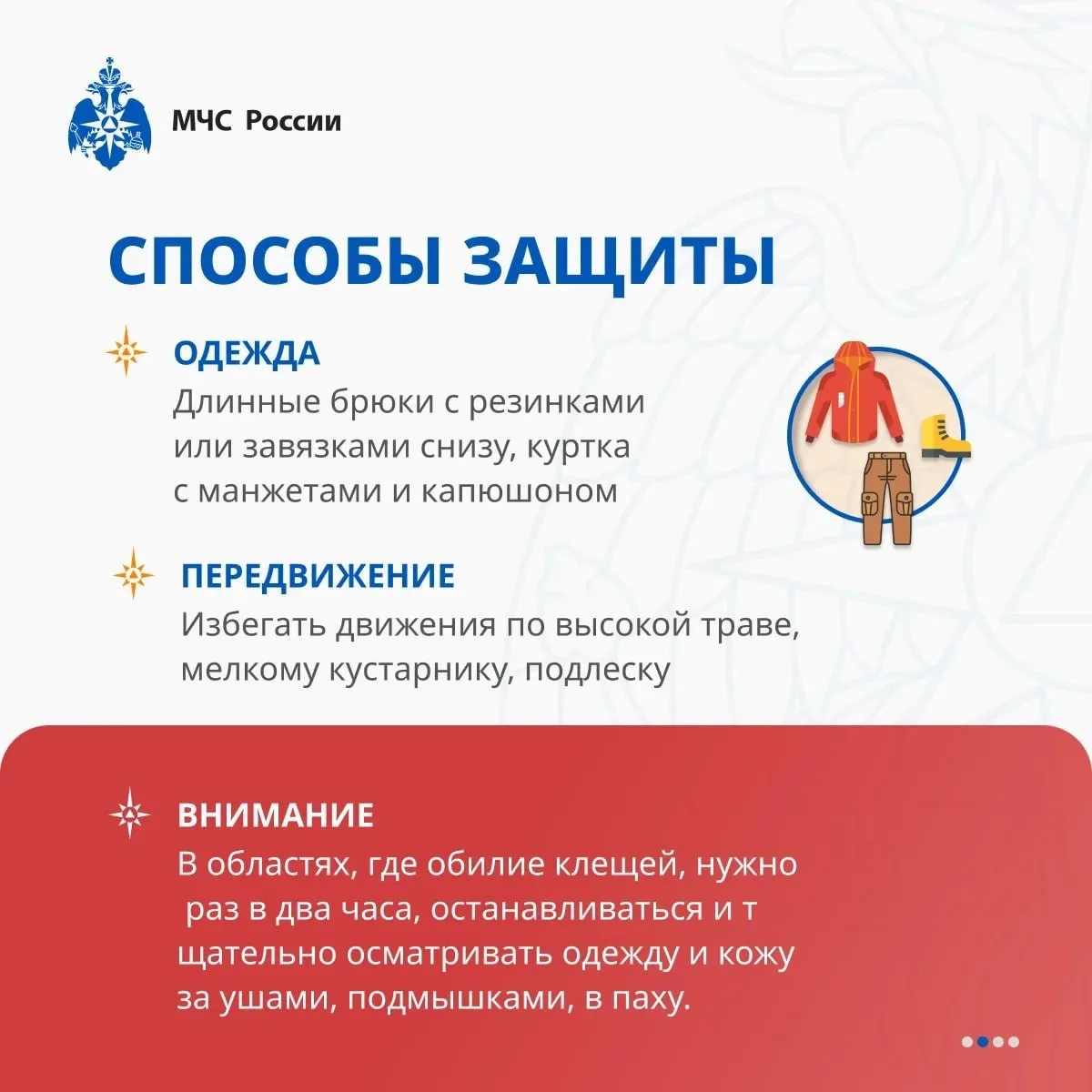 Сезон клещей в Подмосковье продолжается🕷

Напоминаем вам о мерах безопасности:

✔️Самая надёжная за