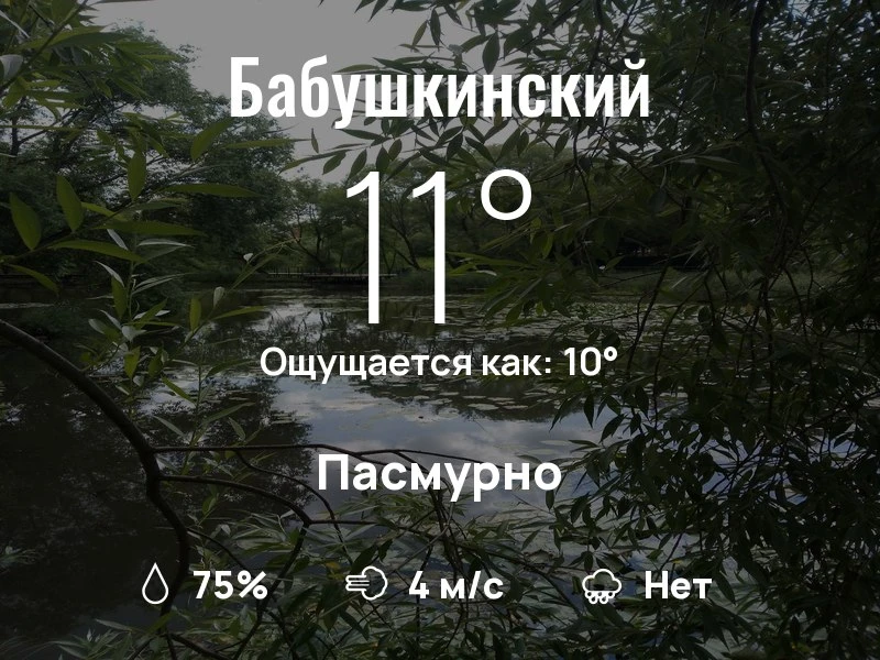 Что с погодой в Бабушкинском?