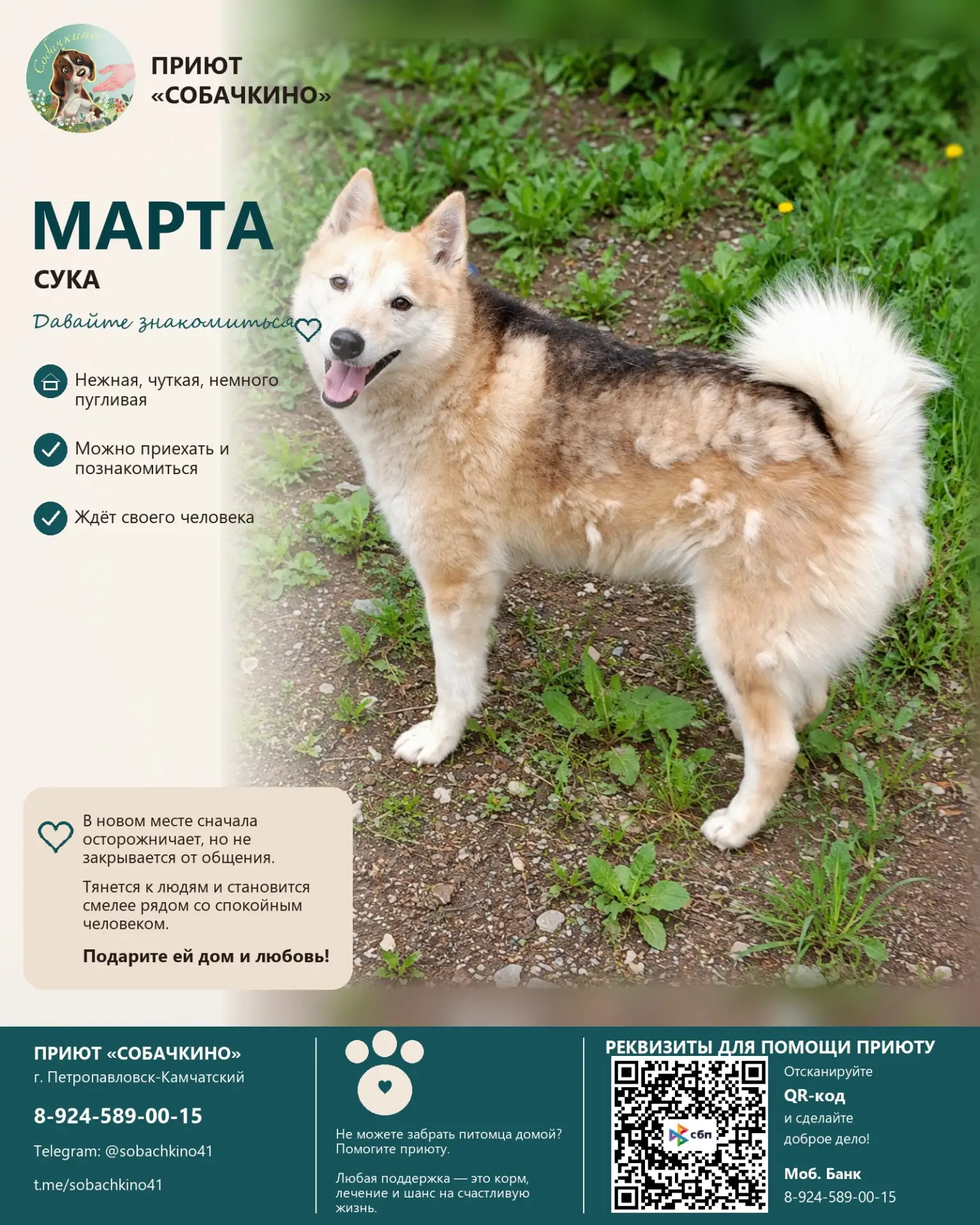 Марта ищет дом. ❤️