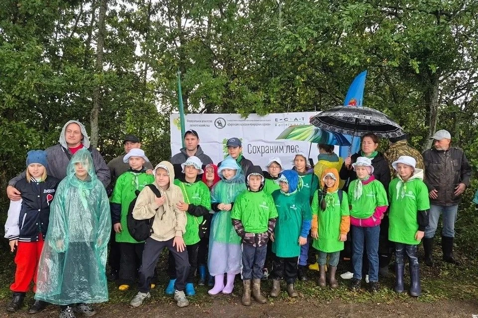 🌲 Под Железнодорожным высадили больше 3 тысяч елей