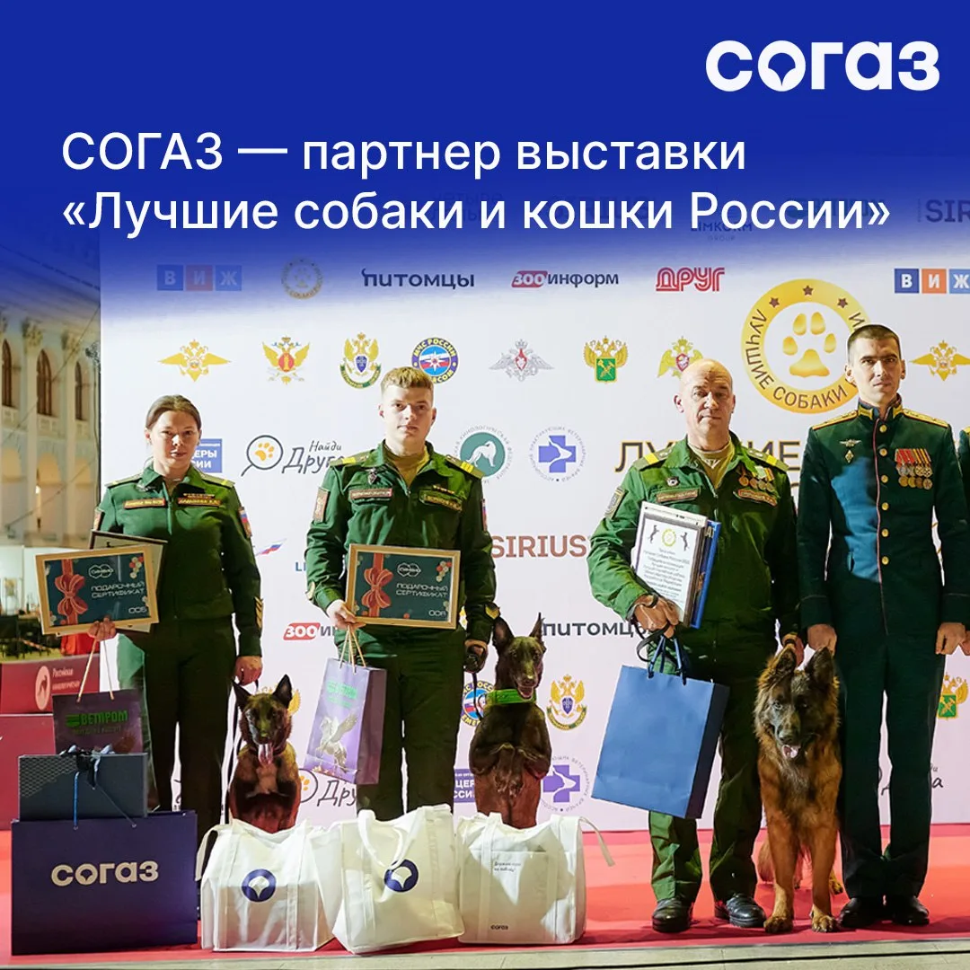 🐶 СОГАЗ — официальный партнер выставки «Лучшие собаки и кошки России».   В Гостином Дворе прошла тре
