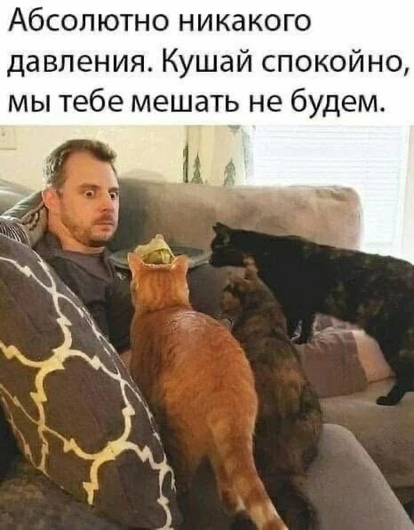 😂 Я думаю у всех так)))У кого есть дома домашние питомцы)))