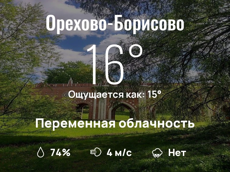 Что с погодой в Орехово-Борисово?