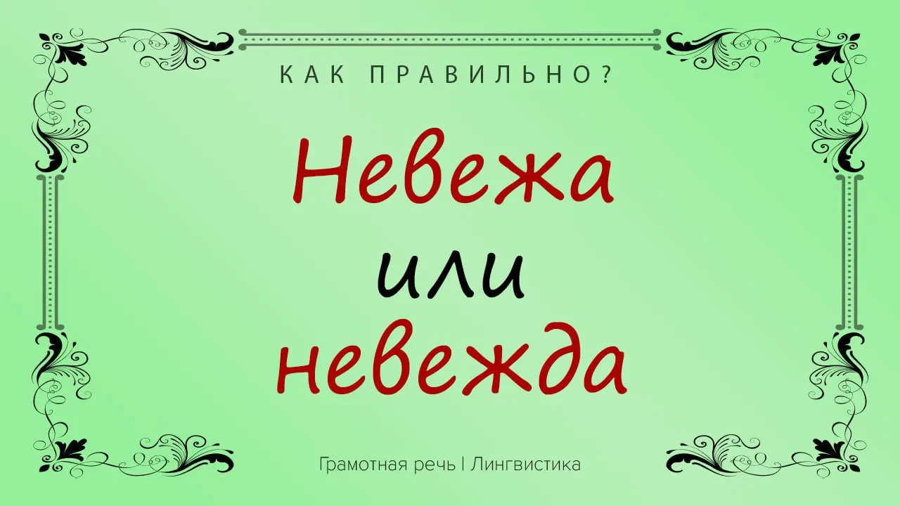 Невежа — человек, который не знает, как вести себя в обществе, невоспитанный. 

Невежда — человек, к