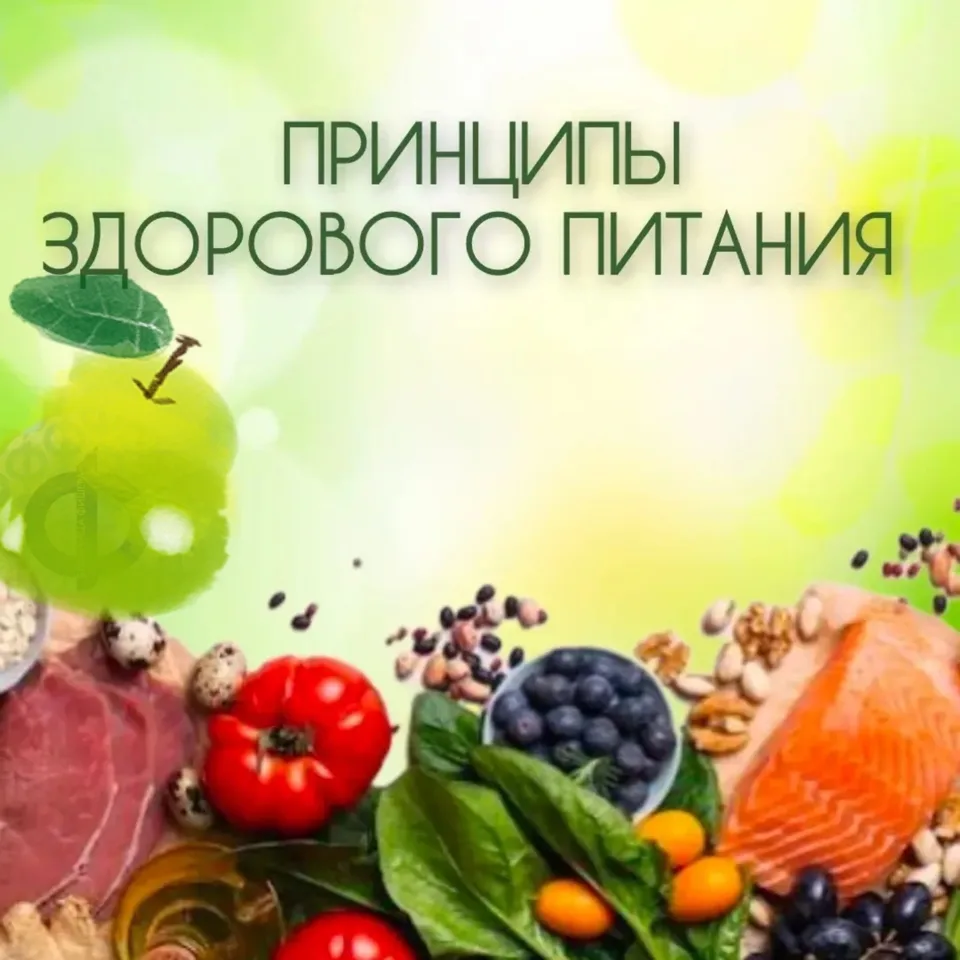 Рассказываем об основных принципах здорового питания🍽