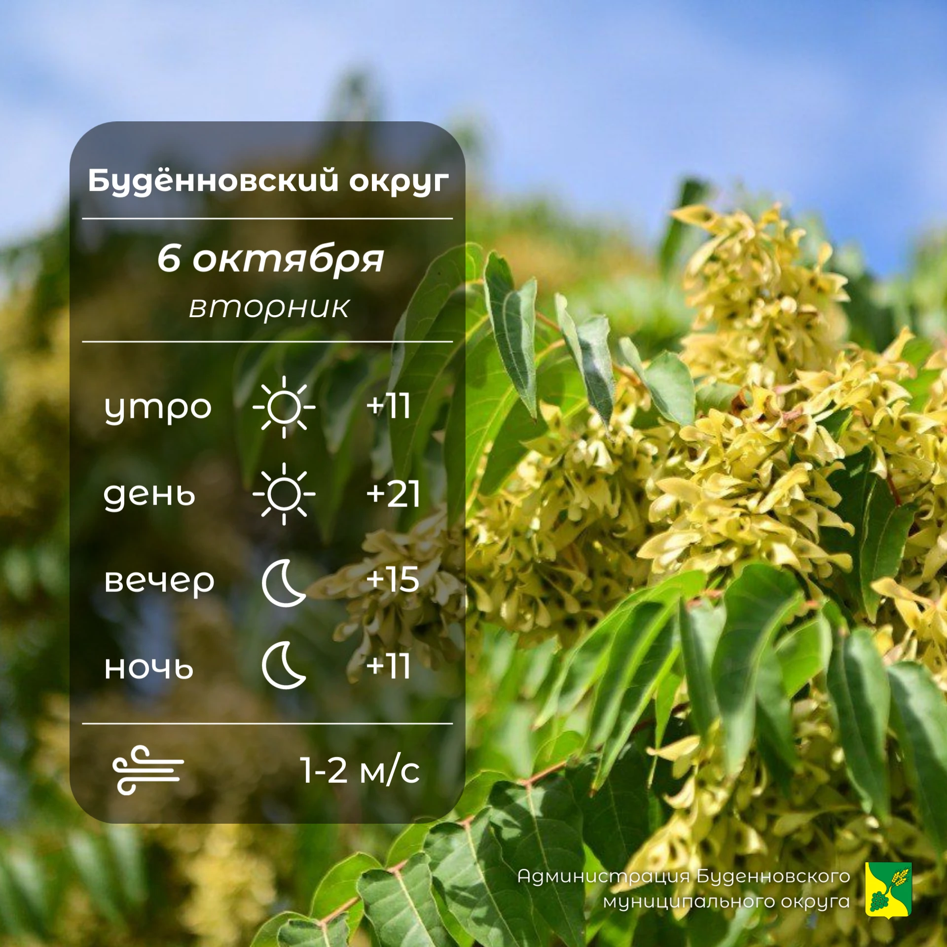 ☀️Сегодня в Буденновском округе малооблачно, без осадков. Температура воздуха +11…+21°....