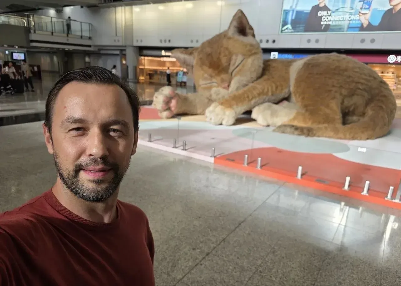 ГОНКОНГСКИЙ КОТ
Мой прилёт в ГонКонг был ранним, кот еще спал, медленно двигая хвостом.