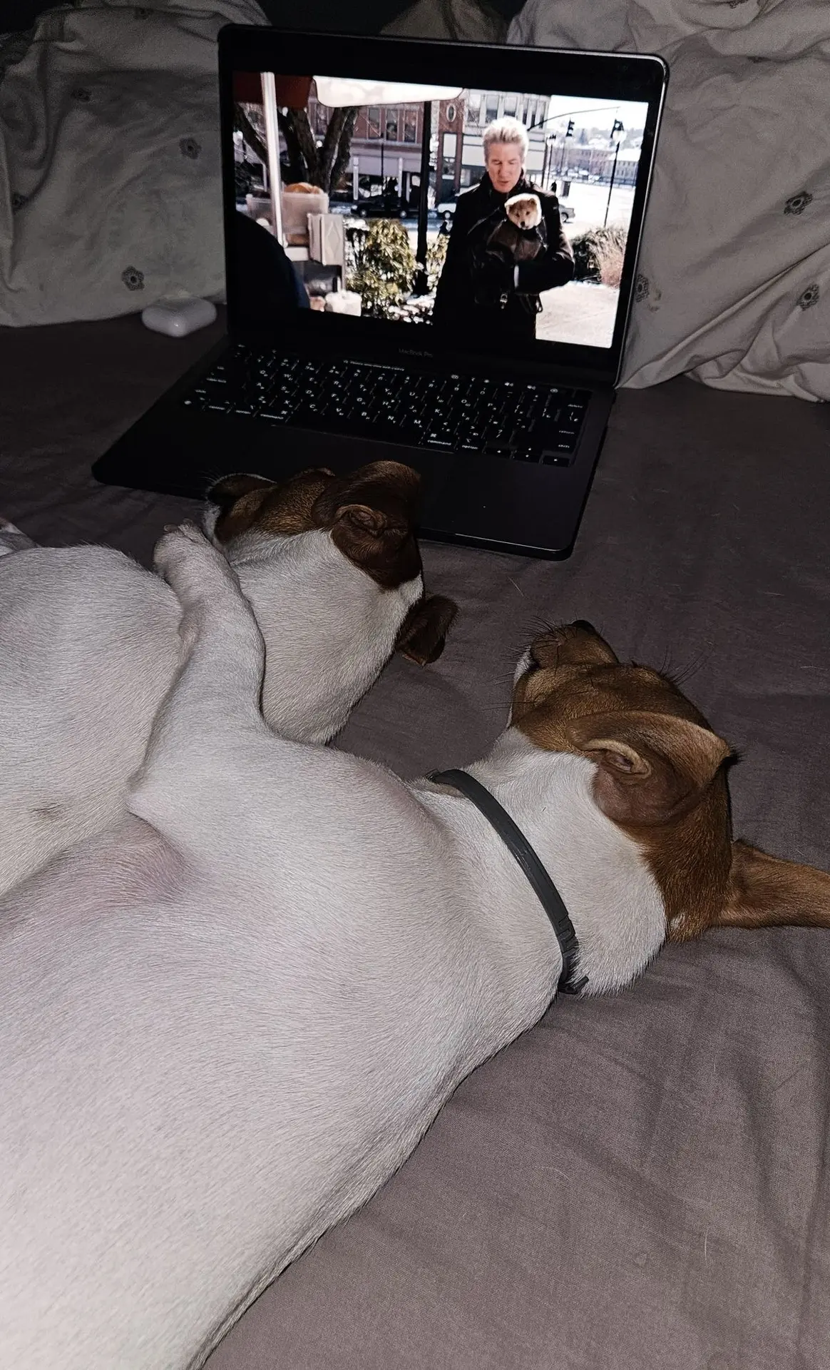 На выходном 🍿

🐶 Подписаться на Джеков.