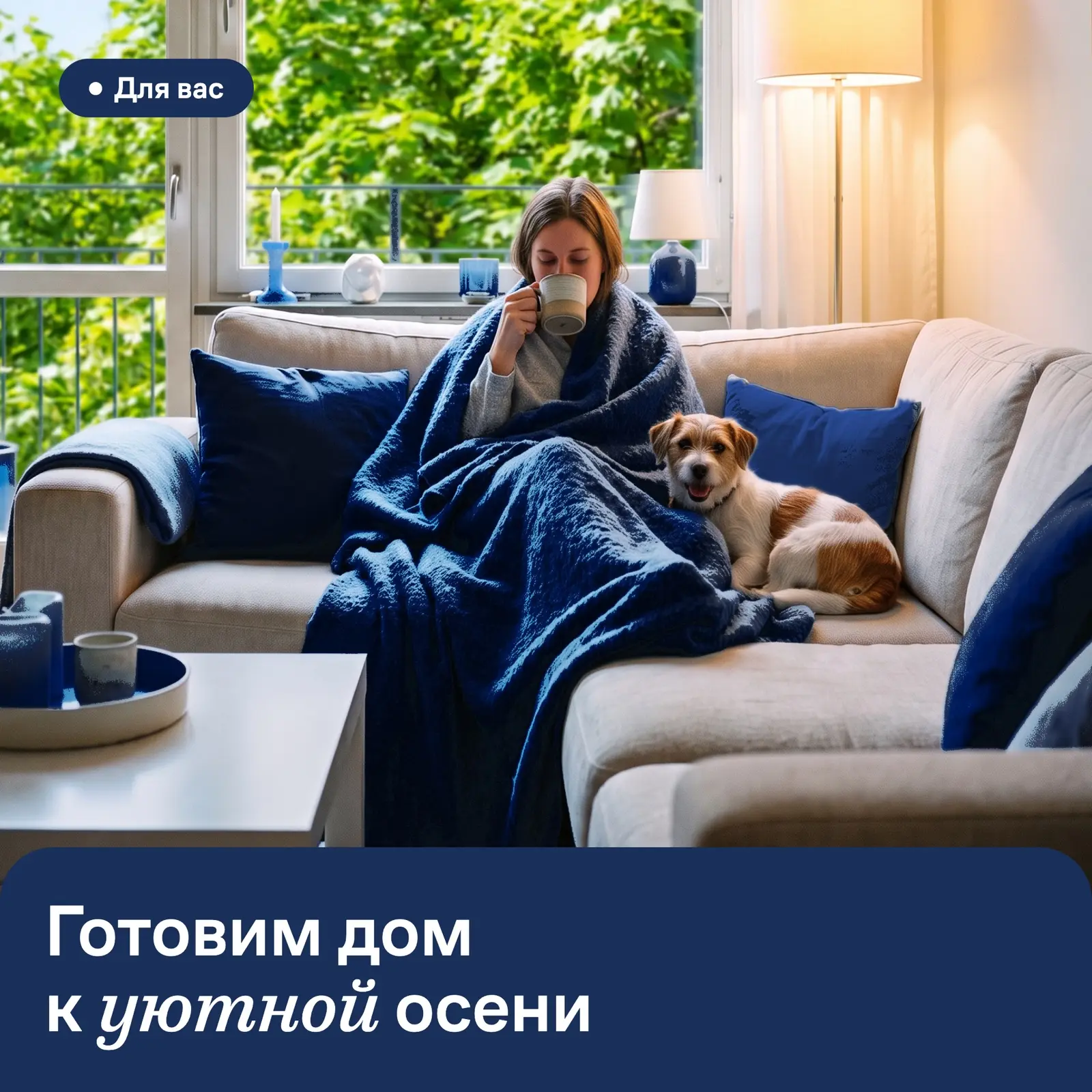 Жители уютных квартир 🏠