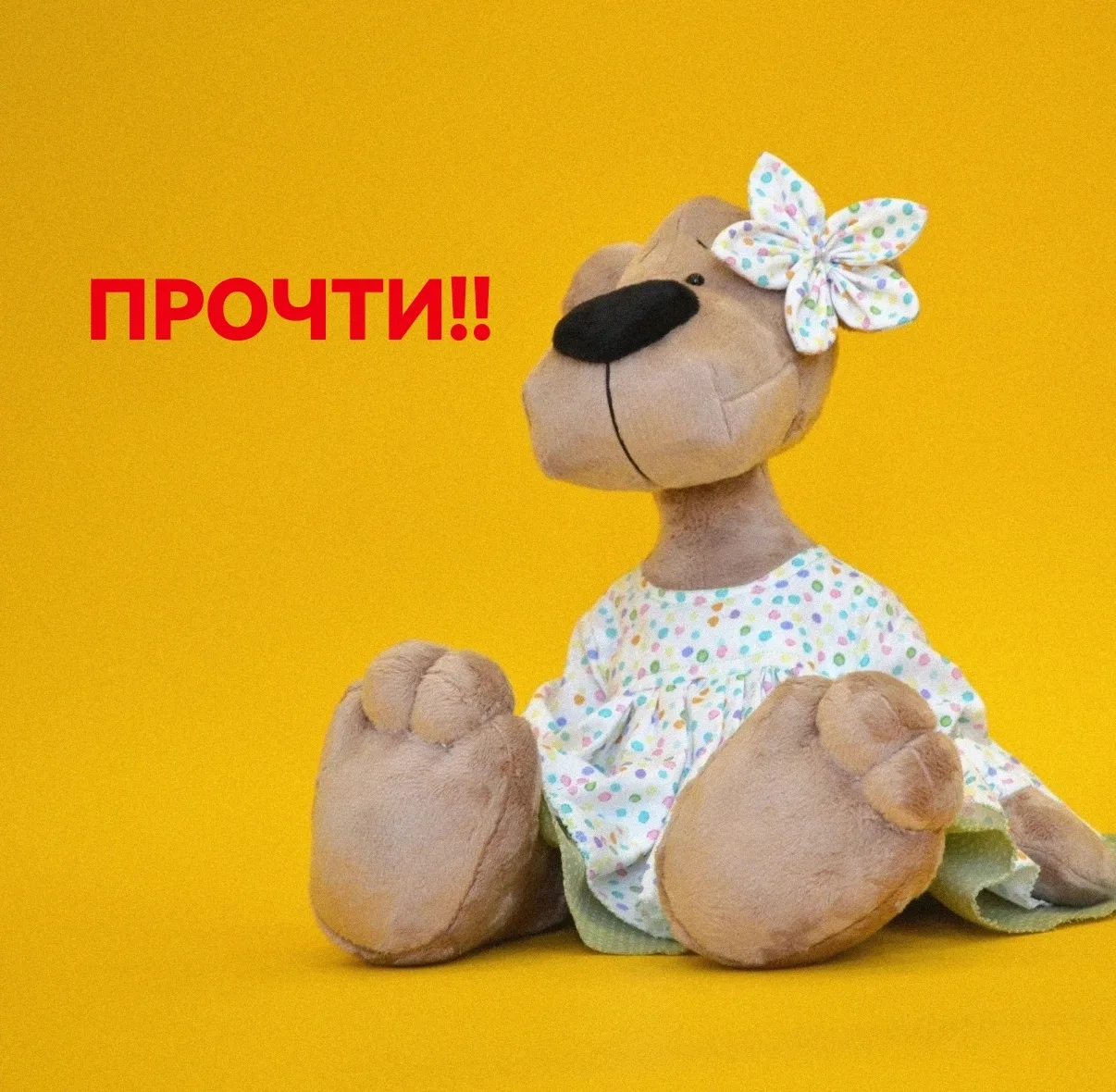 📌 ИНФОРМАЦИОННЫЙ ПОСТ ДЛЯ ТЕХ, КТО КУПИЛ МАСТЕР-КЛАСС!

▪️Если вы уже оплатили мастер-класс, но ещё