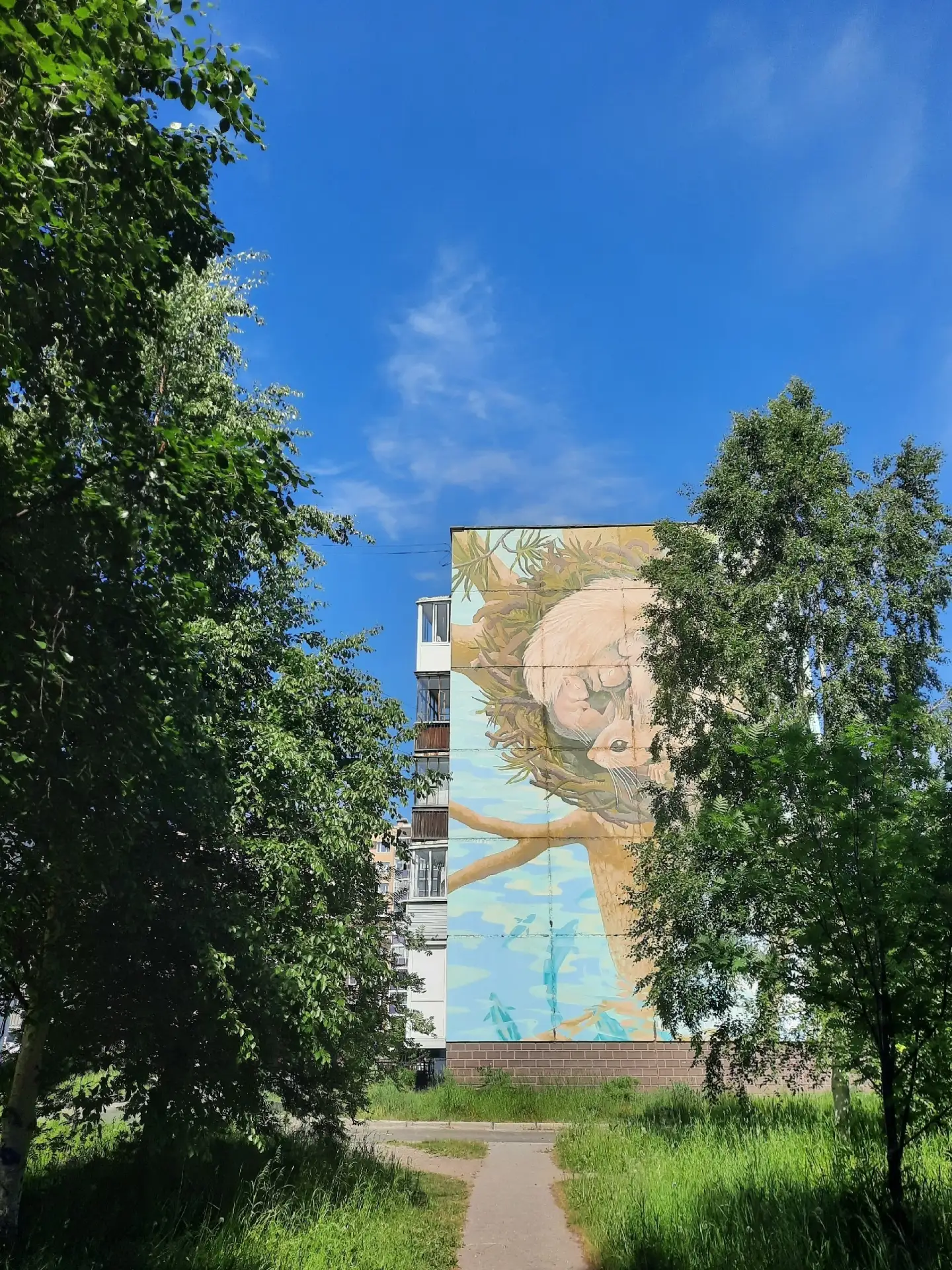 Доброе утро, Северодвинск ❤️

Фото: Маргарита Боркова

👉 Предложить новость
Подпишись Северодвинск 
