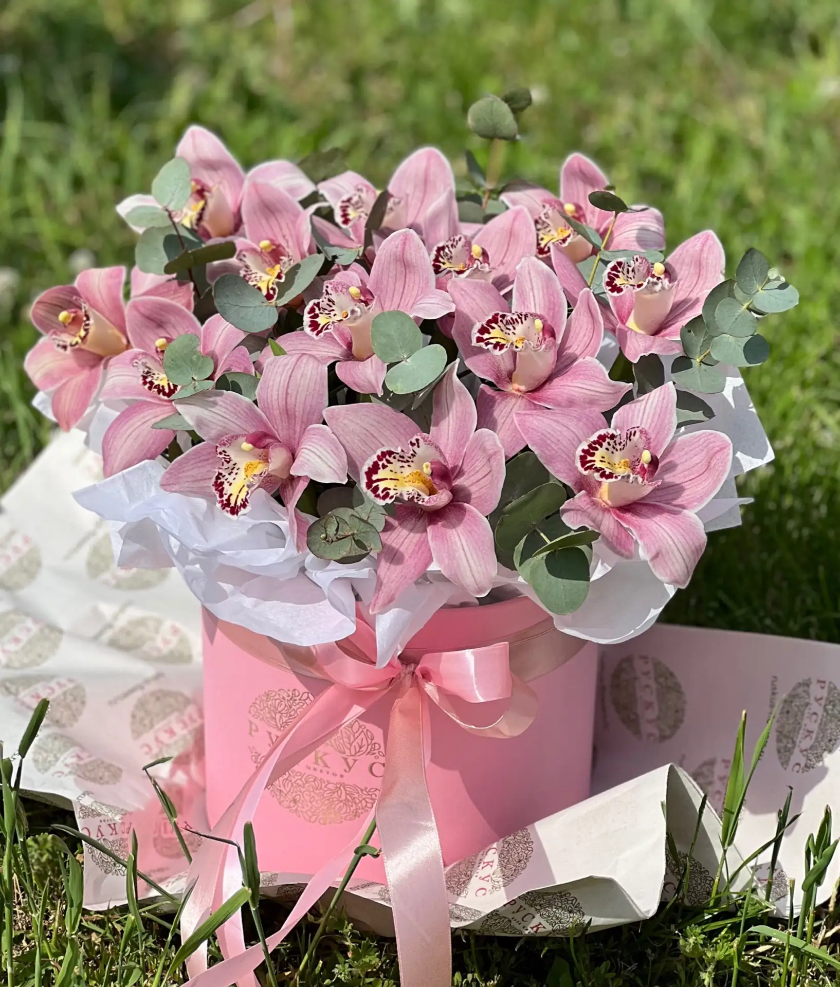 Всем привет🌸