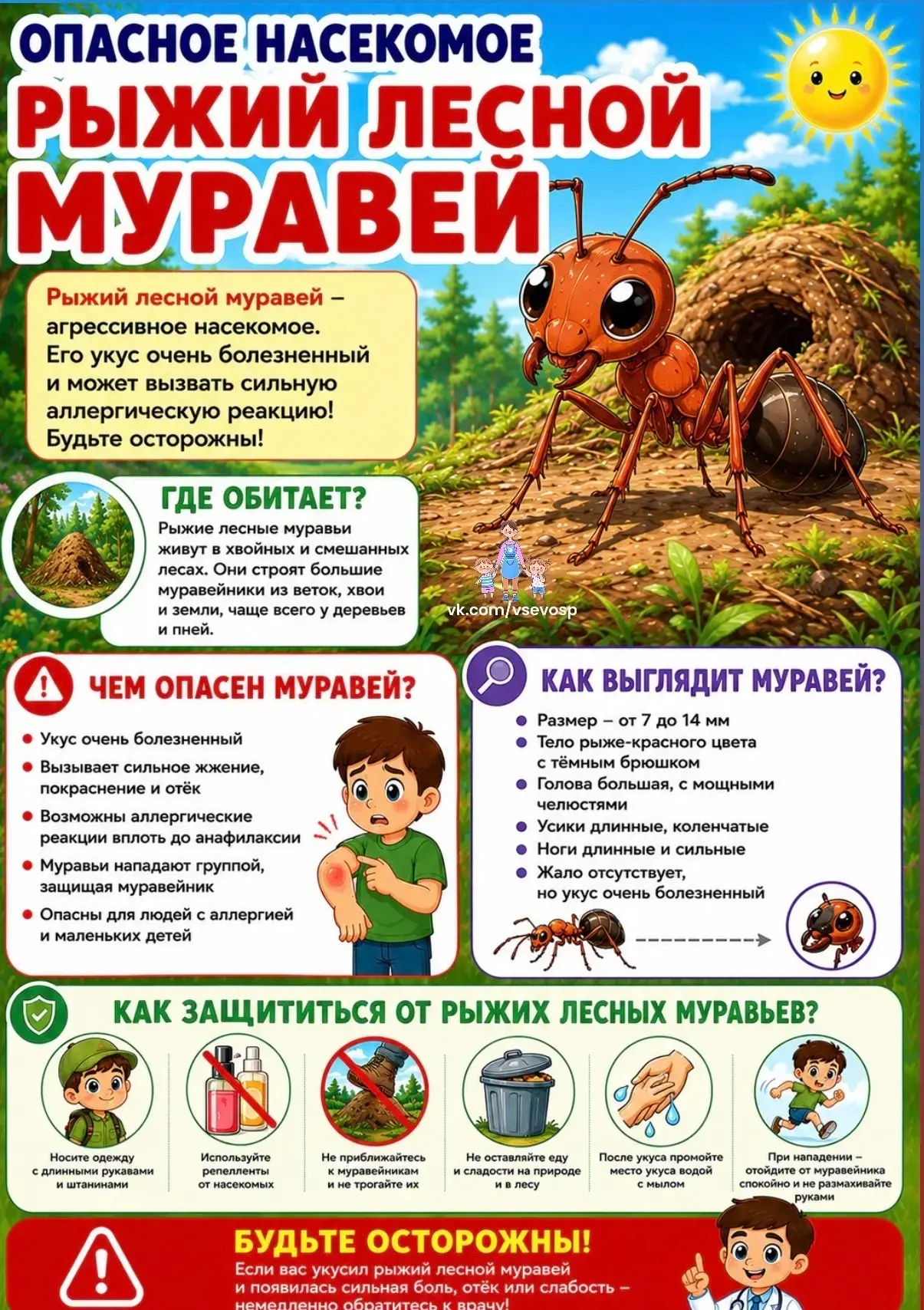 Чем опасны насекомые и как от них защититься

Лето — время отдыха на природе, но вместе с яркими дня