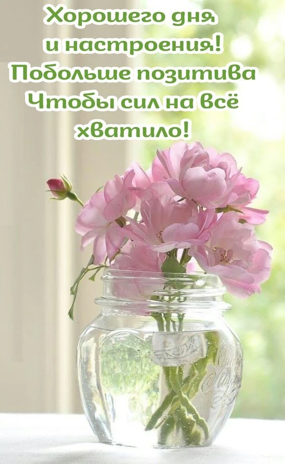 Не теряй нас, жми подписаться👇
ВОЛШЕБНЫЕ ОТКРЫТКИ И ПОЗДРАВЛЕНИЯ