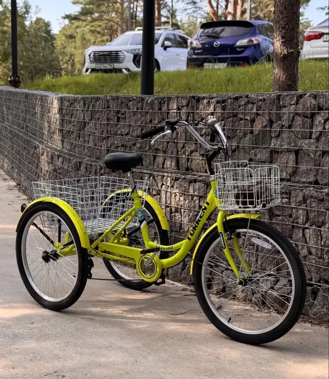 🚲 Трёхколёсный велосипед (велотрайк)