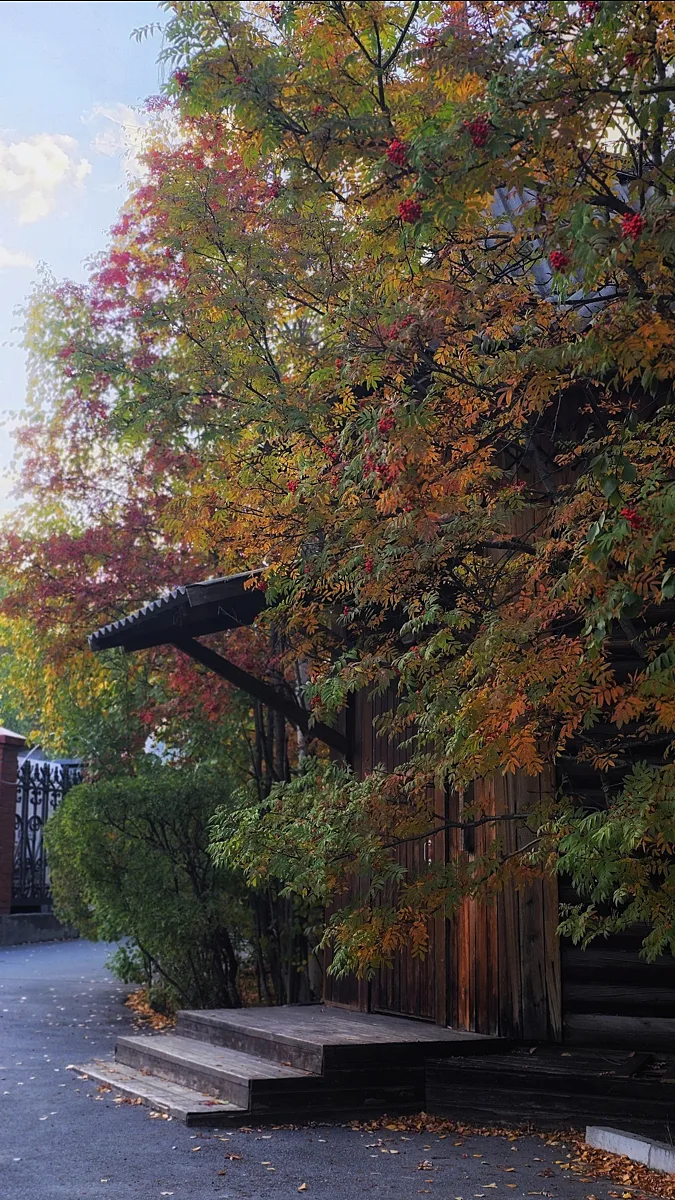 Городская осень😍