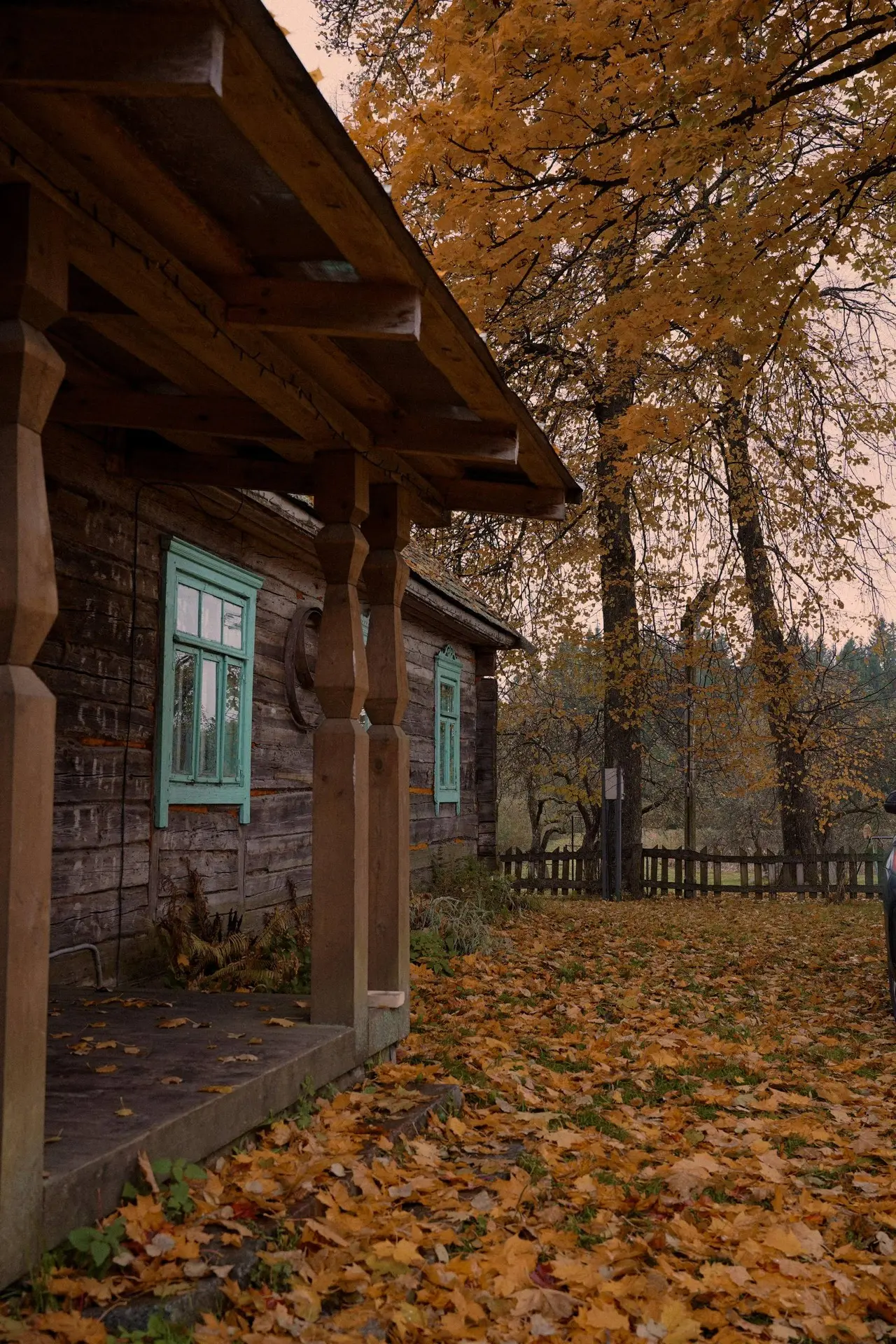 🍂 Доброе субботнее утро!