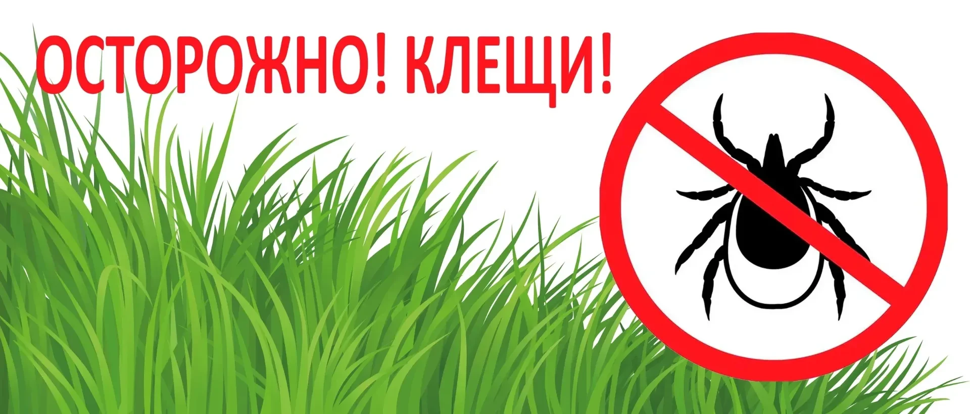 С наступлением весны и теплых дней все больше появляется желание проводить время  на природе: в парк