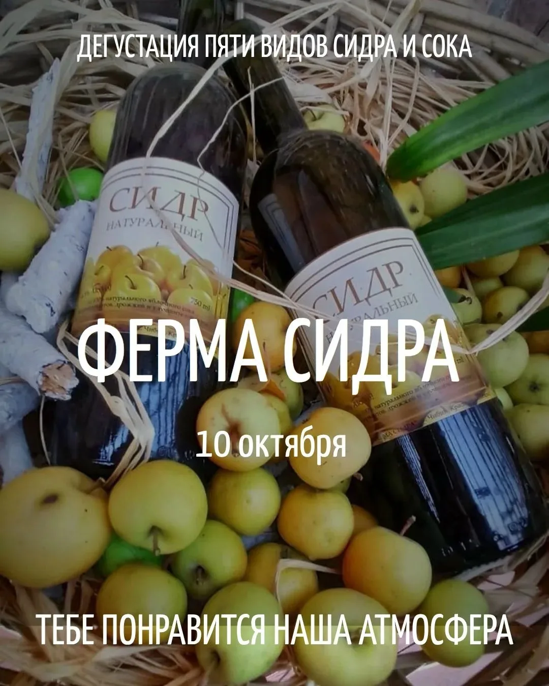 🍎 Сид🍎рер🍎рия | Праздник яблока, вечеринка и дегустация | 10 октября