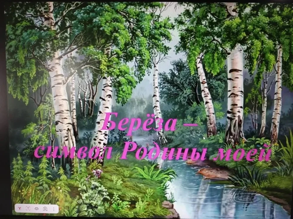 Деревьев разных не сочтешь