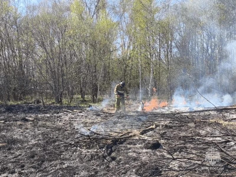 ❗️В воскресенье - 15 выездов на тушение сухой травы, мусора и неподтвержденные вызовы   За прошедшие