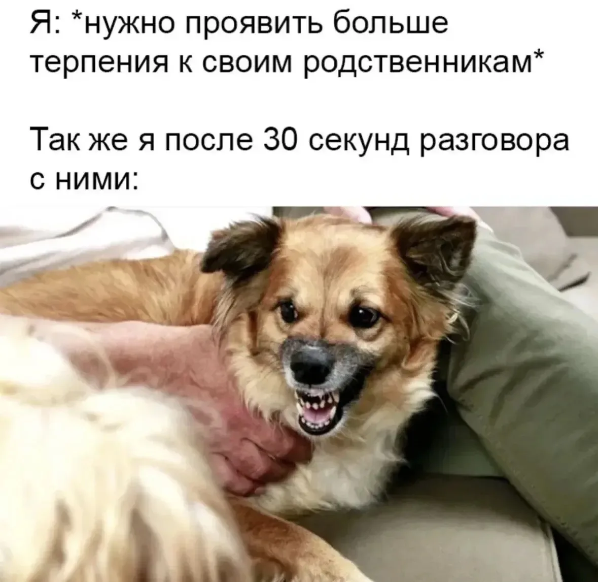 Бесят