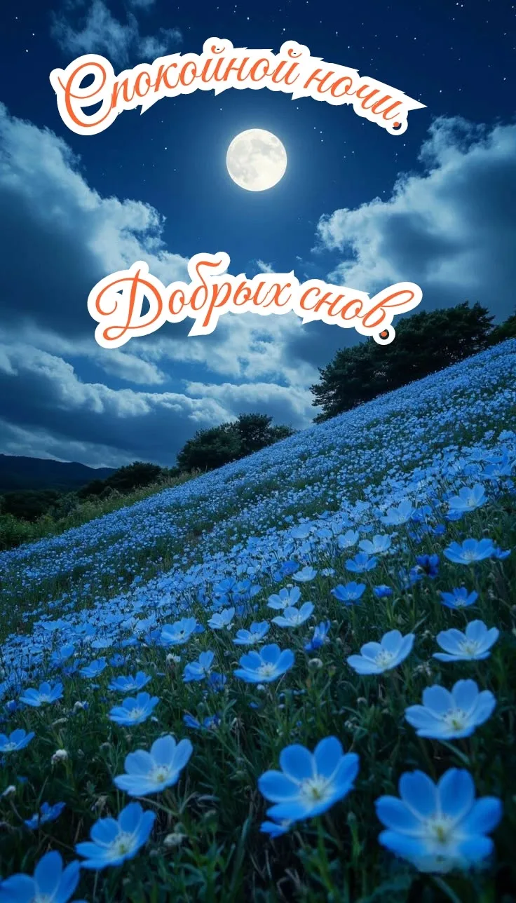 Подпишись 👇