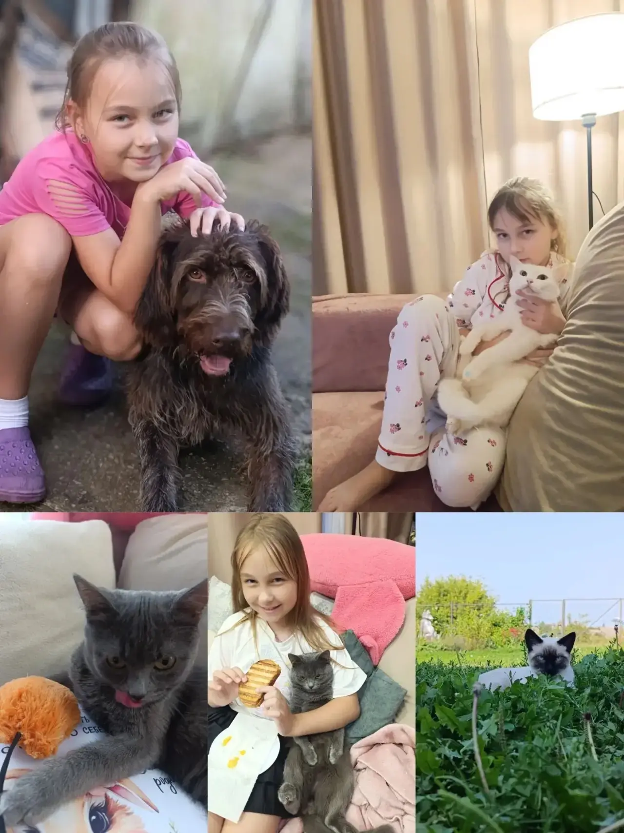 🐾 ВОСПИТЫВАЕМ ДОБРОТУ: