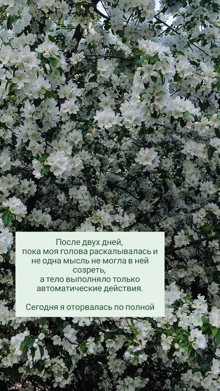 Просто выходные, в которых было много жизни и чуть-чуть работы.