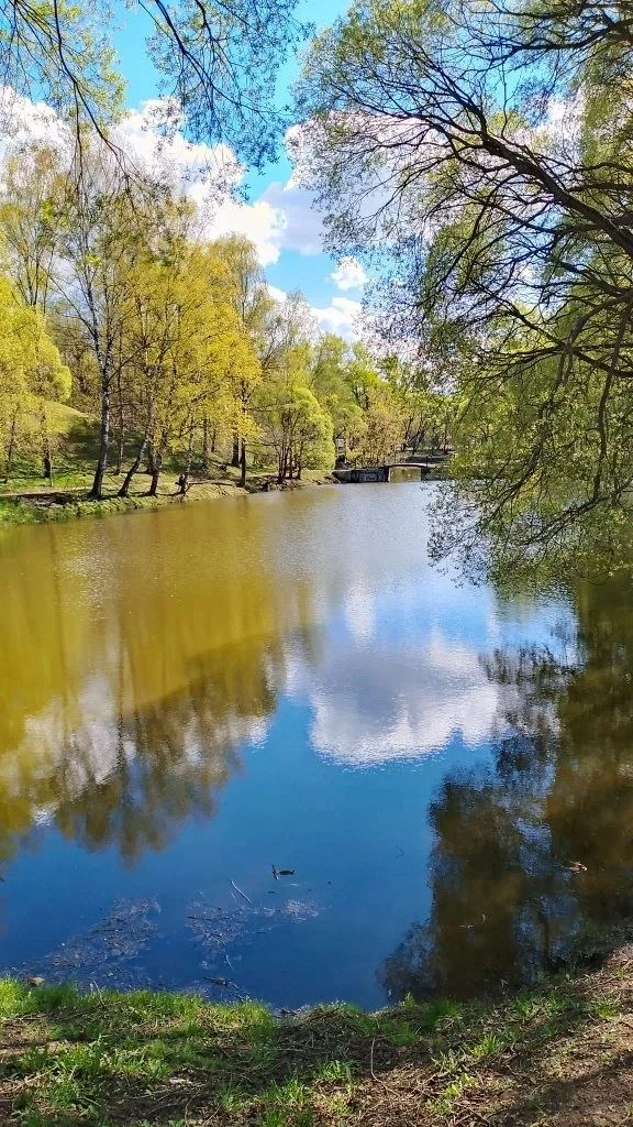 🌙  Доброй ночи, Вологда!  Если и у вас есть что рассказать или показать городу, пишите — в тг Vologd