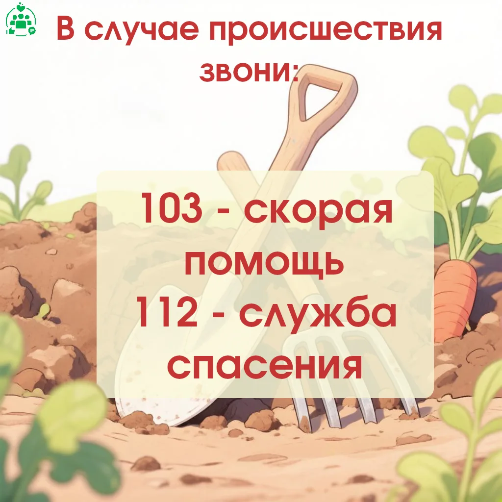 Безопасность в огороде