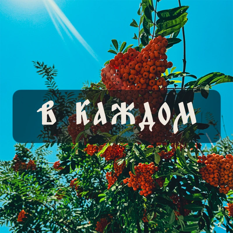Россия — это родное 🇷🇺