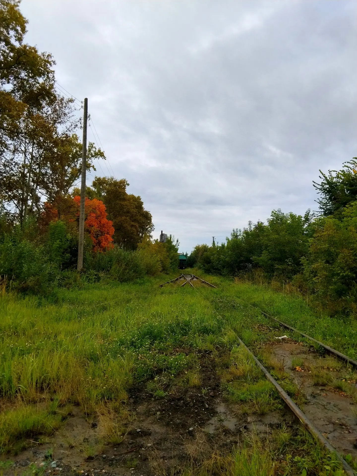 Осень зажигается 🍁