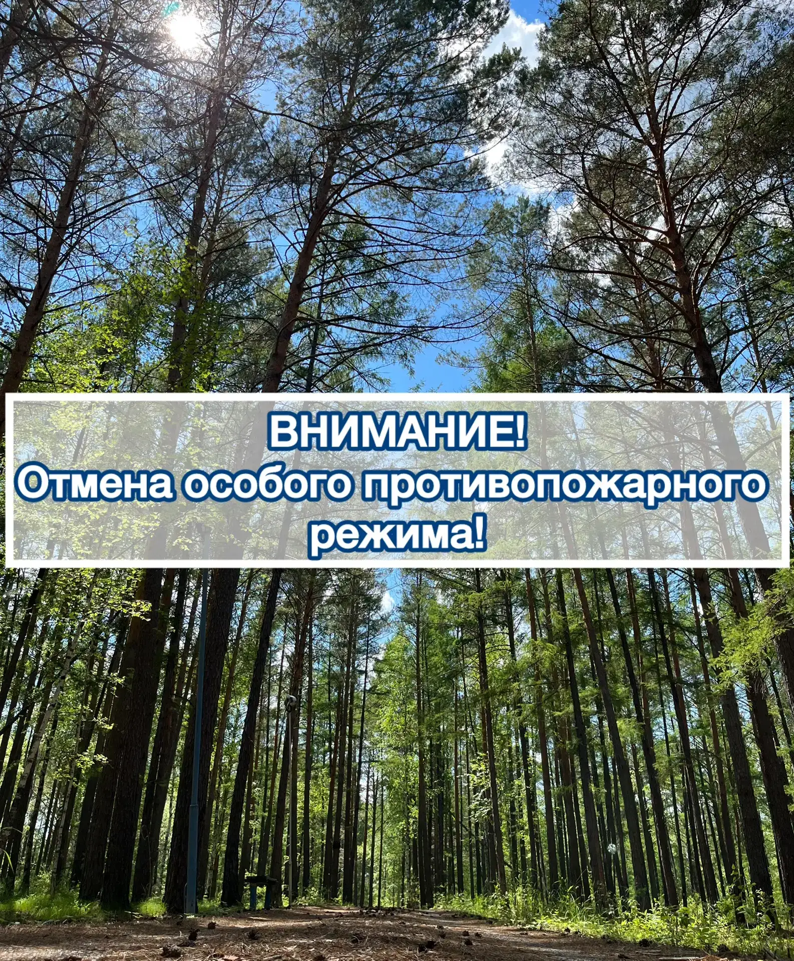 Друзья, важная новость: в связи с нормализацией лесопожарной обстановки с 11 июня на те...