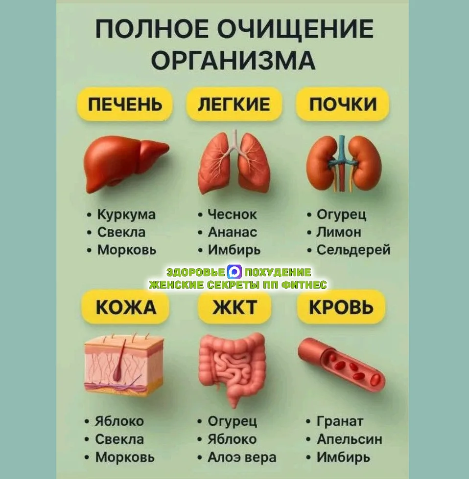 💡 ПОЛНОЕ ОЧИЩЕНИЕ ОРГАНИЗМА 💡
