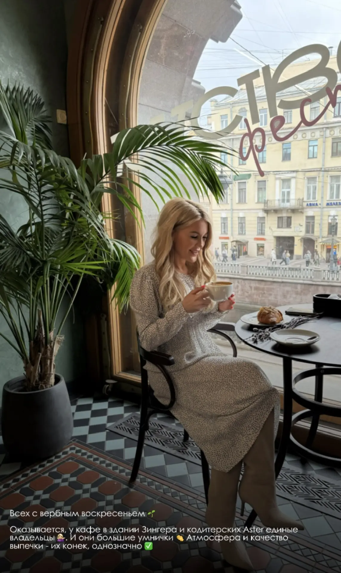 Верба вошла в чат 🌱