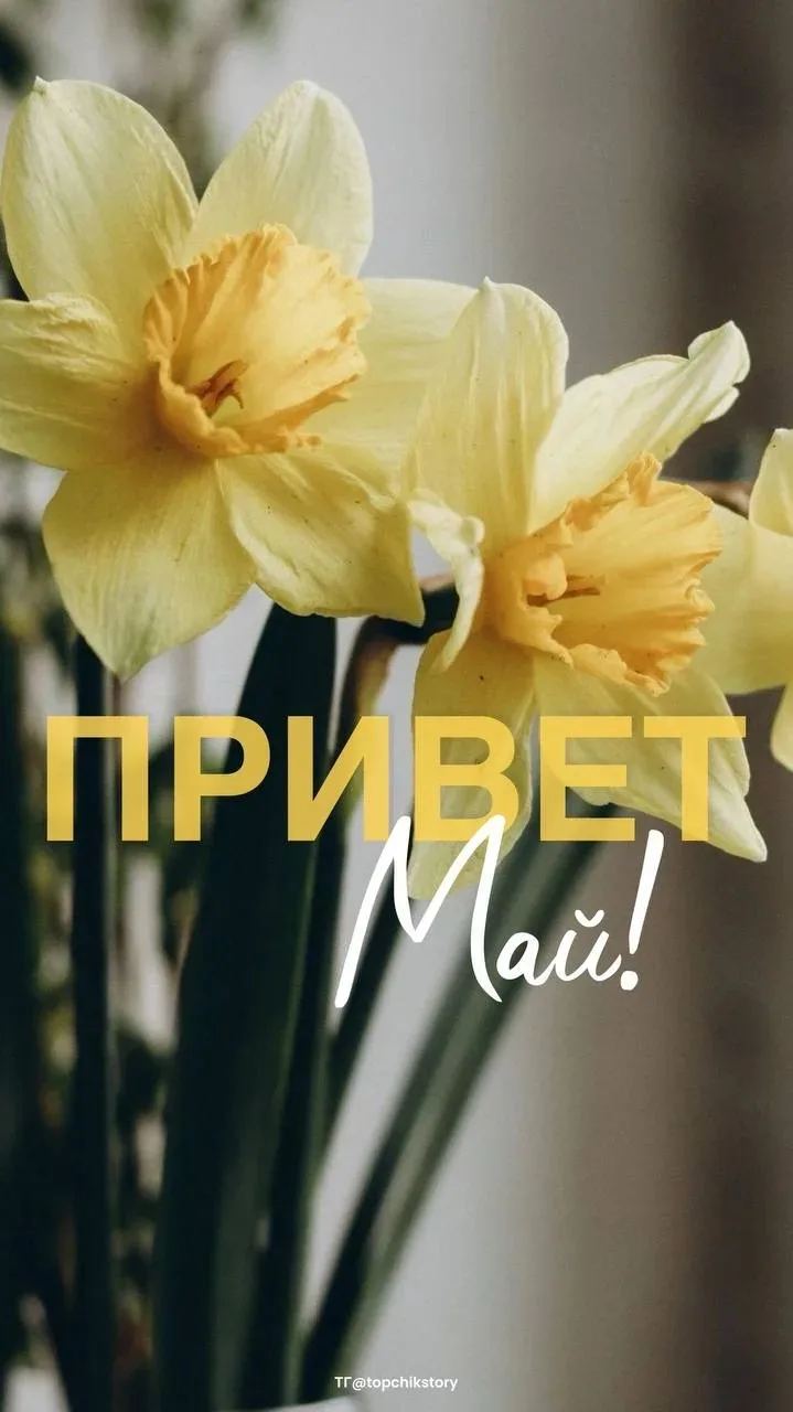 С первым майским днём! 🌸